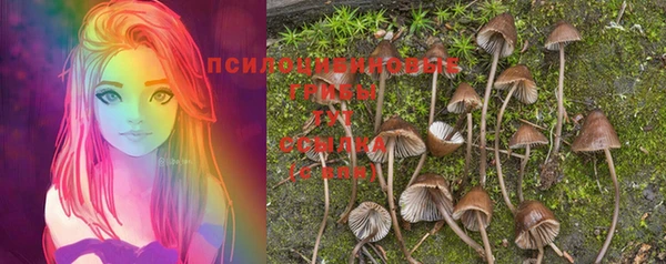 трава Алексин