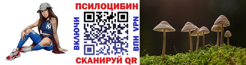 купить   Коряжма  Псилоцибиновые грибы Psilocybe 
