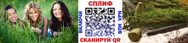 Бошки Шишки тримм  Коряжма 